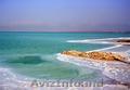 Оздоровительный тур на Мёртвом море в Израиле