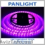 BANDA LED RGB, ILUMINAREA CU LED IN MOLDOVA, PANLIGHT, BANDA LED 220V