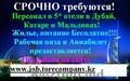 Работа в 5* отелях за рубежом