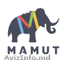 Компания MAMUT.MD ищет сотрудников на должность - контент менеджер 