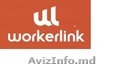Работа в Польше. WORKERLINK Sp. z o.o  