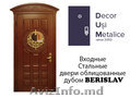 Двери входные и межкомнатные - Decor Usi Metalice
