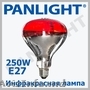 BECURI SI SURSE DE LUMINA, PANLIGHT, BEC LED, BECURI ECONOMICE, ILUMINAREA LED