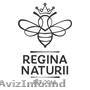 Cauți miere de albine în Chișinău? O găsești pe Reginanaturii.md